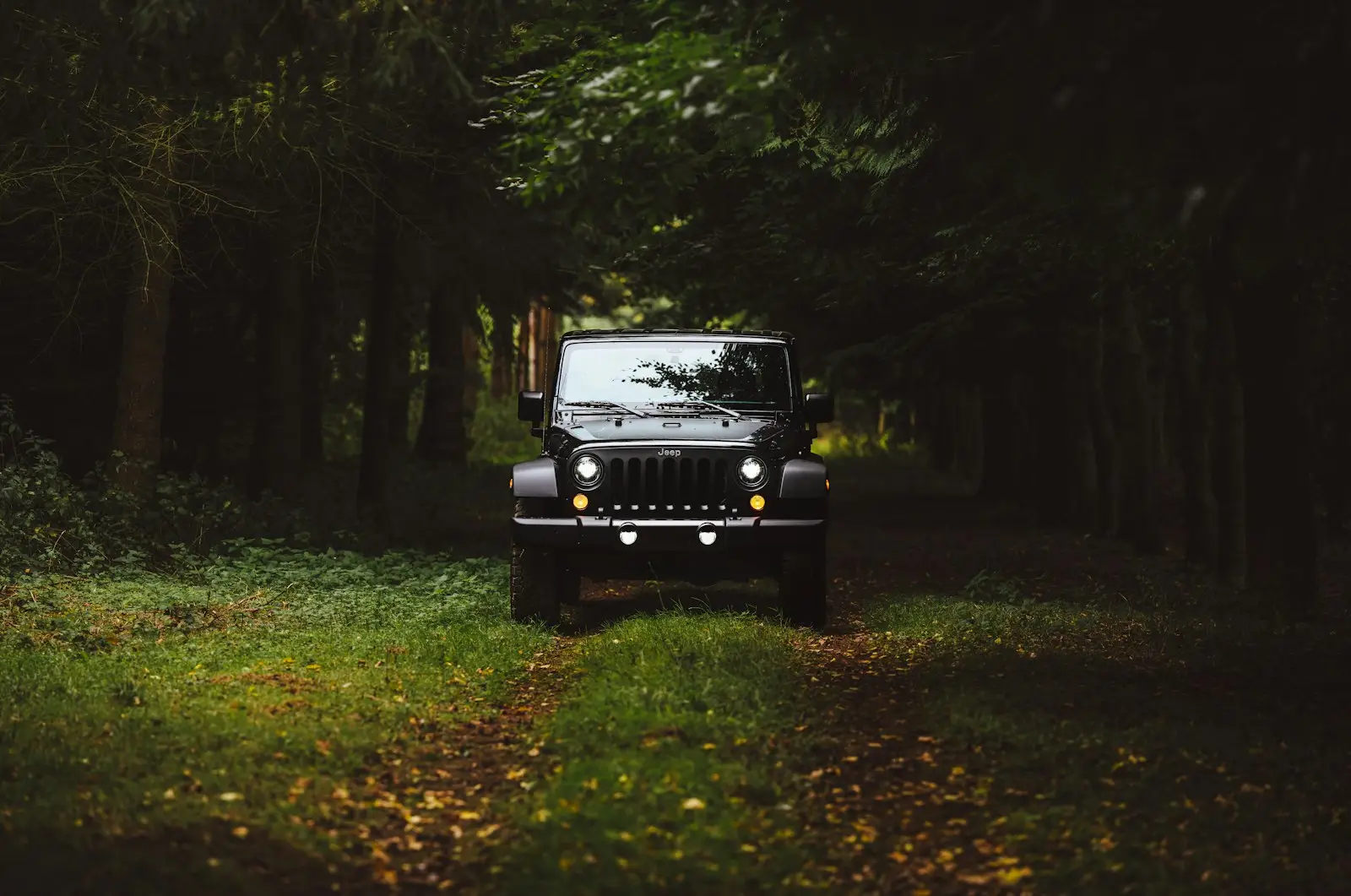 Black Jeep Wrangler SUV on green under trees