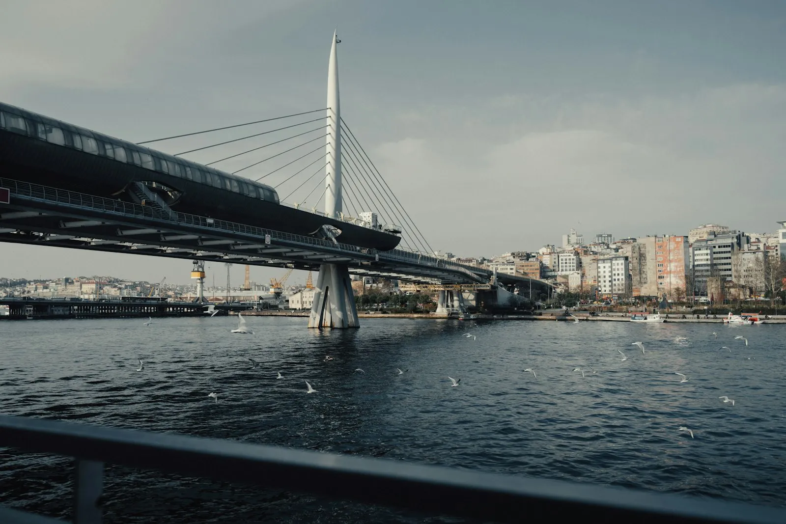 A train crossing a bridge over a body of water
