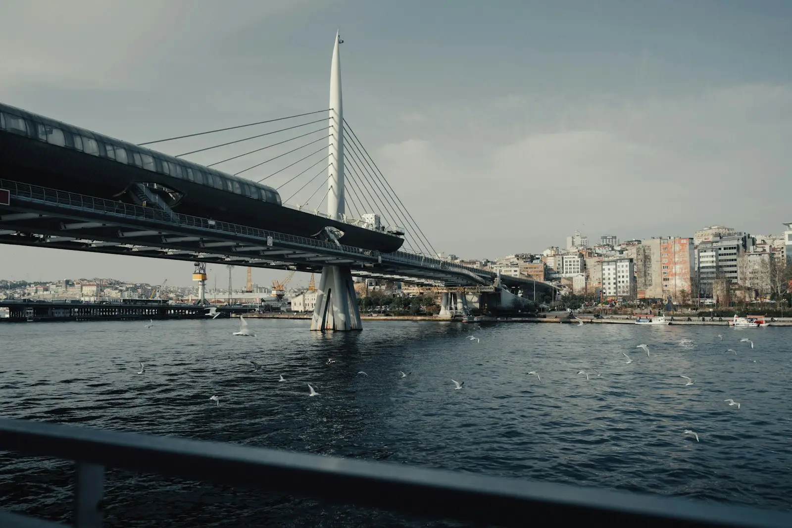 A train crossing a bridge over a body of water