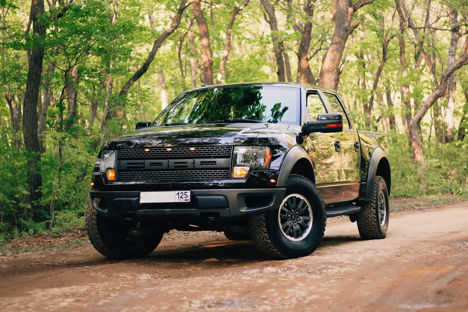 Ford Raptor F-150 SVT 6.2L