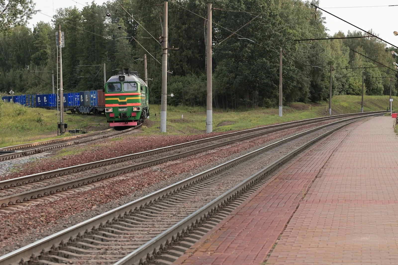 A freight train with loaded wagons leaves the forest
