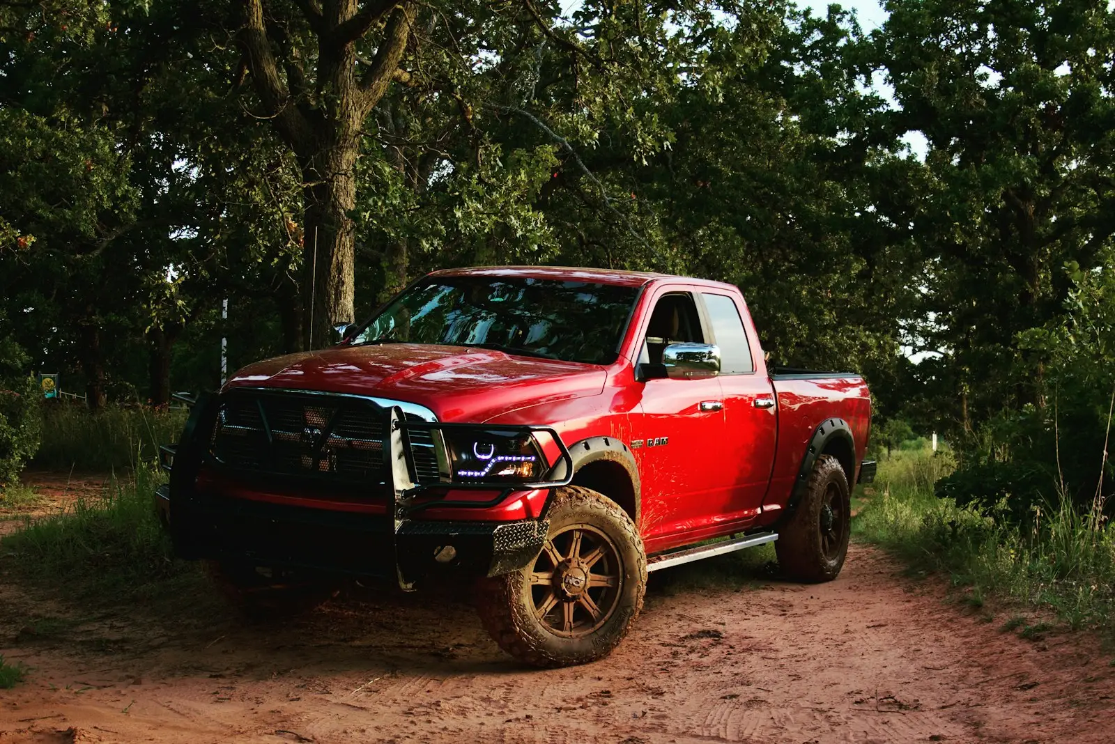 Red chevrolet single cab pickup truck parked beside green tree during daytime