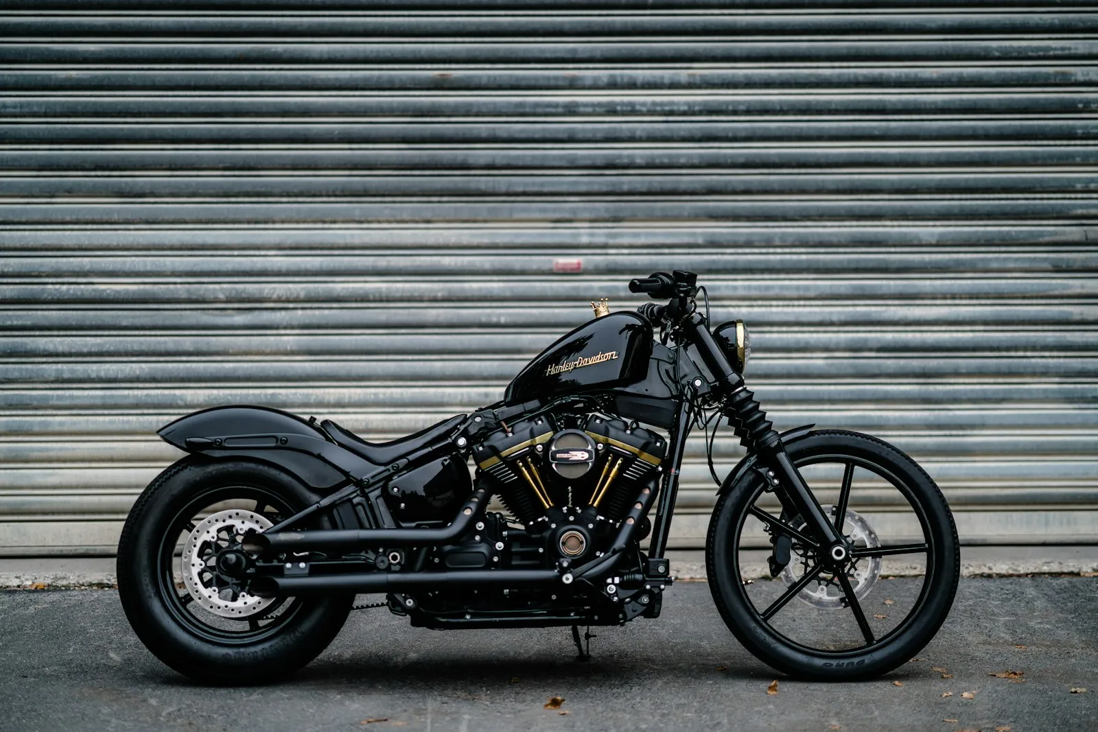 Black Harley-Davidson motorcycle — cruiser-bike install context