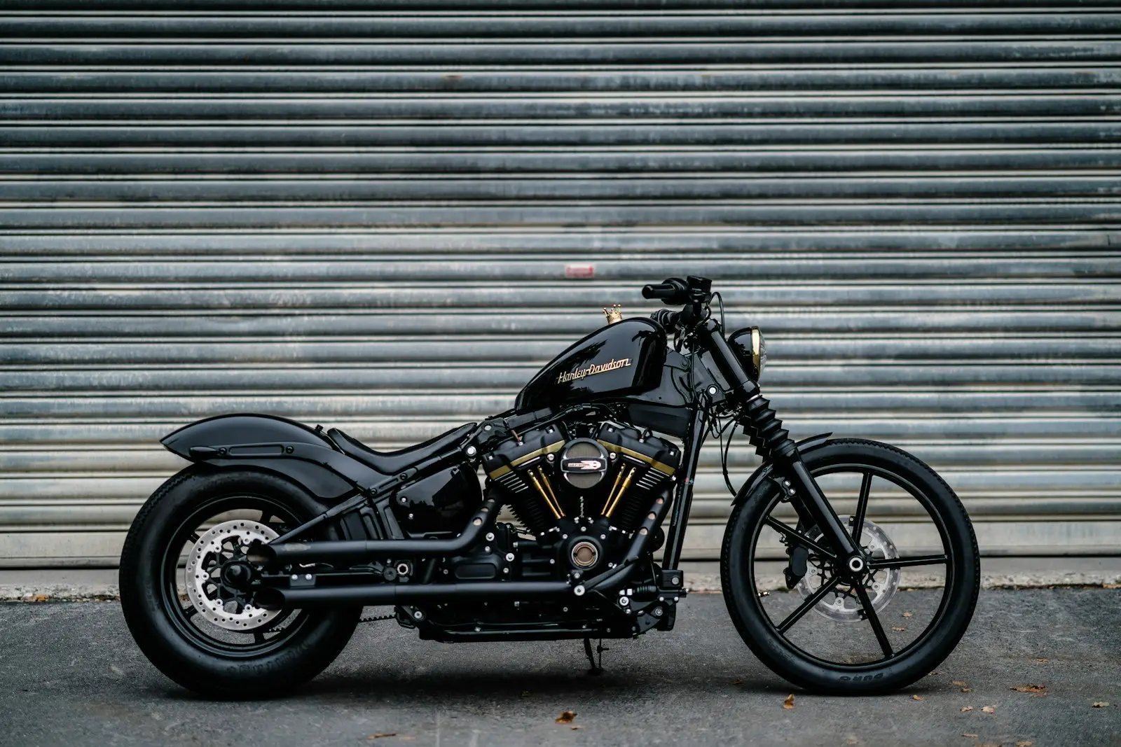 Black Harley-Davidson motorcycle — cruiser-bike install context