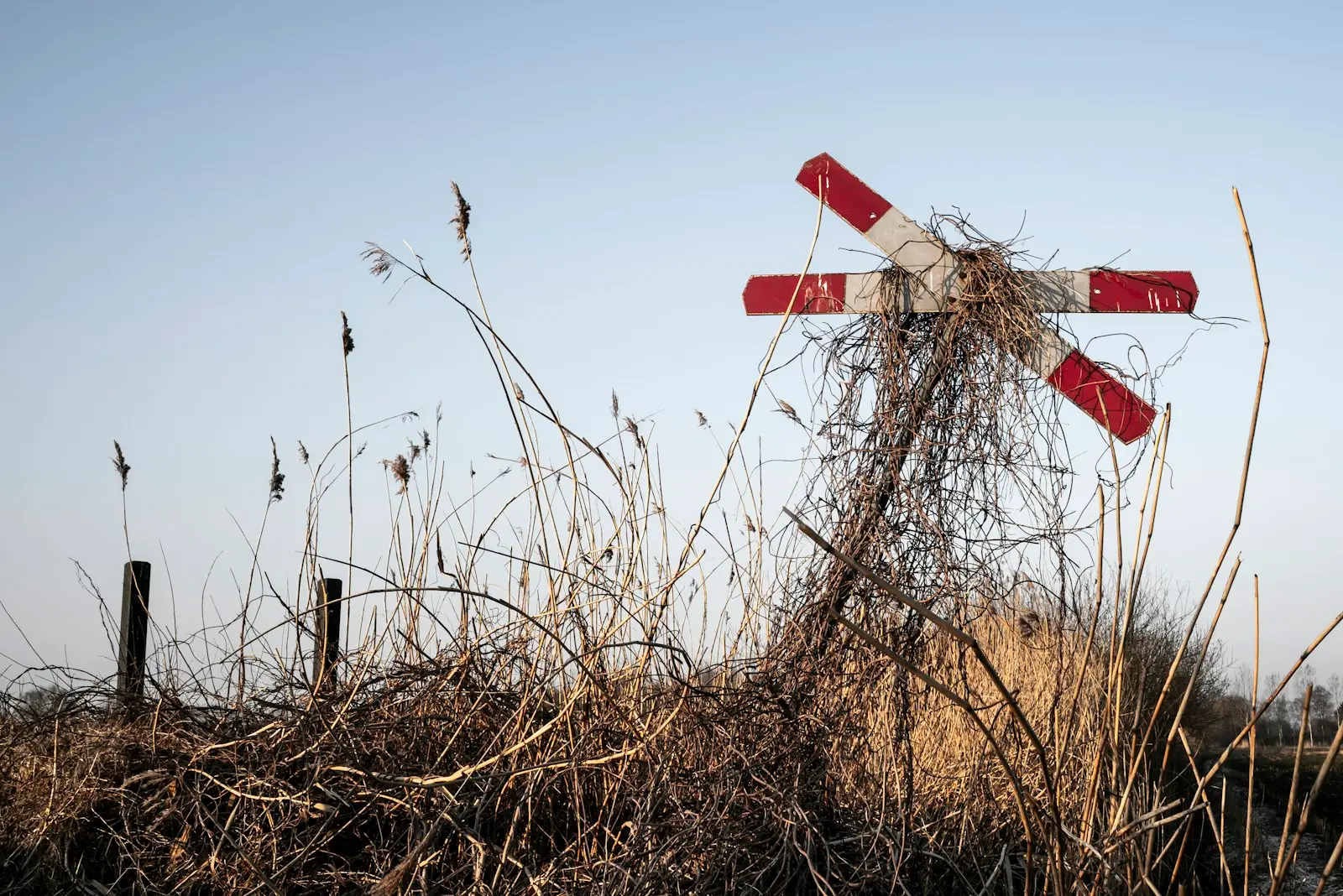 A red and white railroad crossing sign in a field