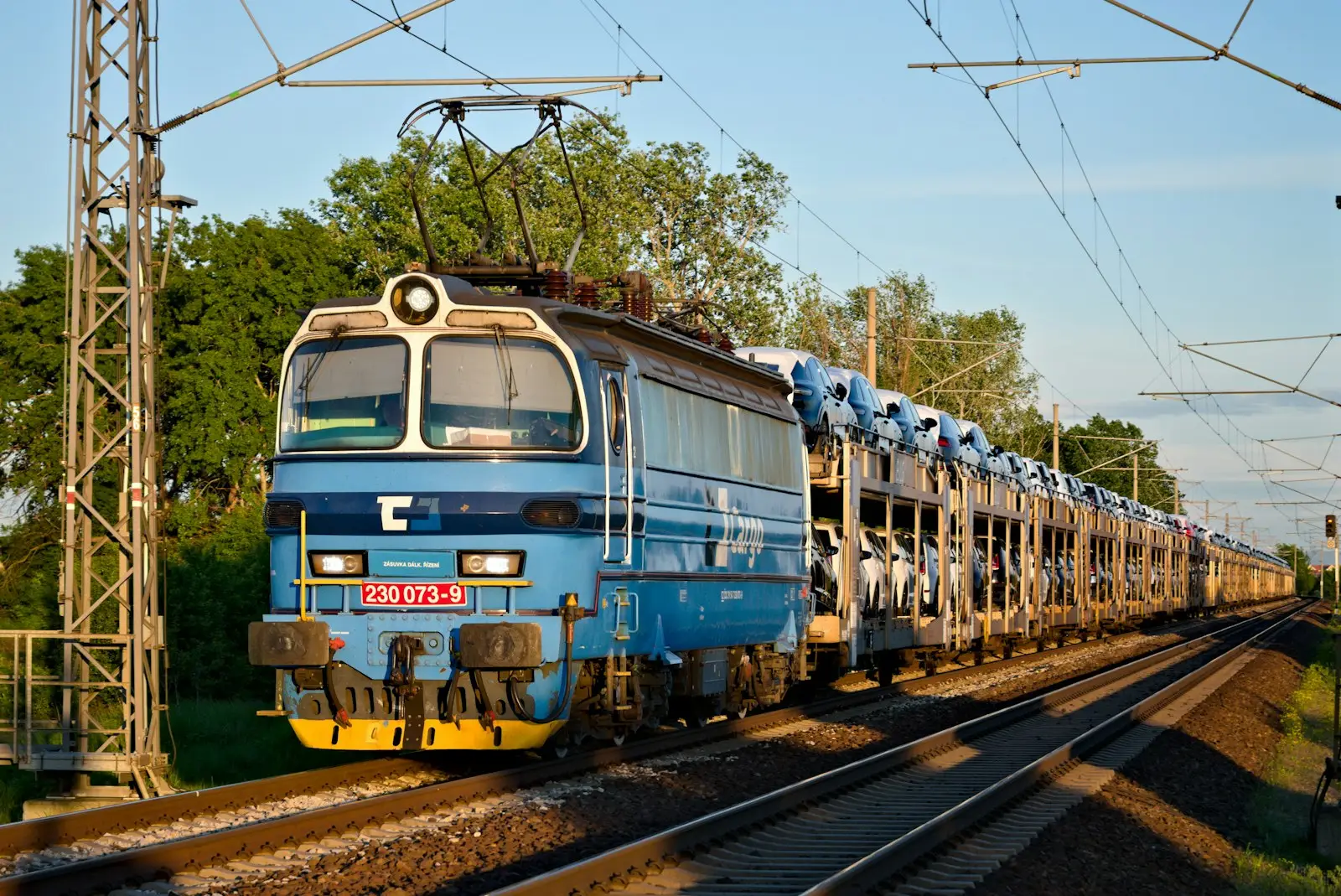 Blue and brown train on rail tracks during daytime