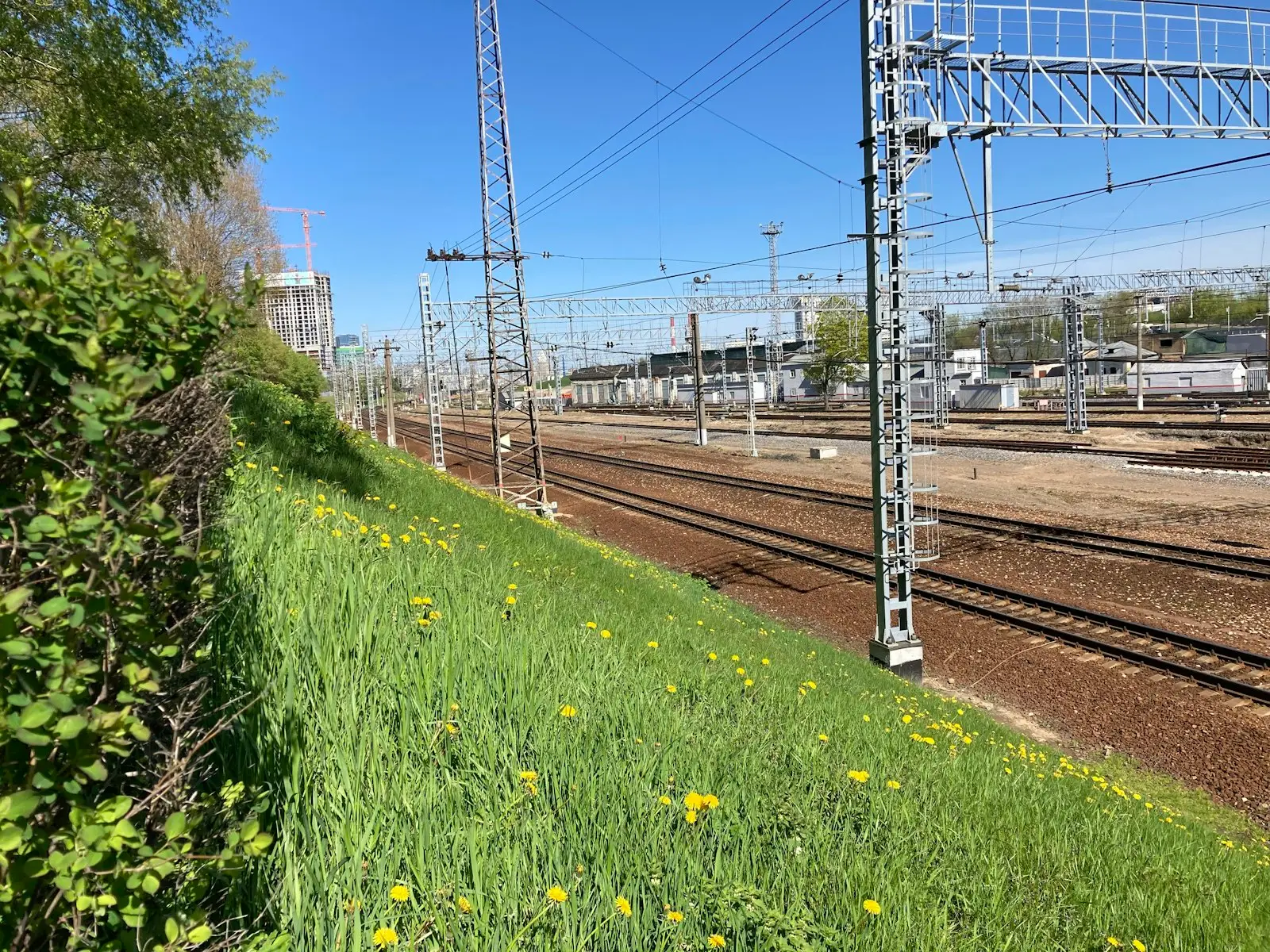 Train tracks
