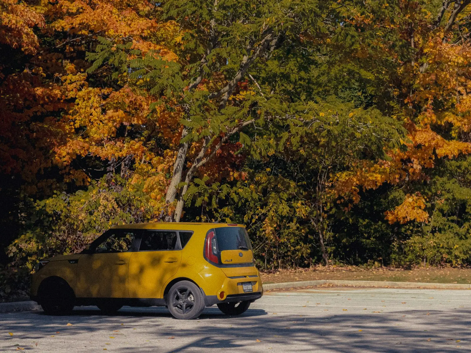 Yellow Kia Soul parked near autumn trees — Soul install context
