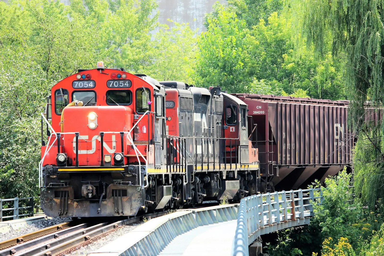 Train on the railway