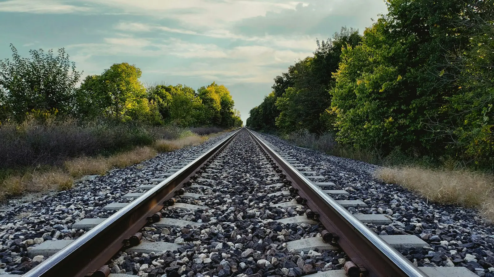 A train track running through a wooded area