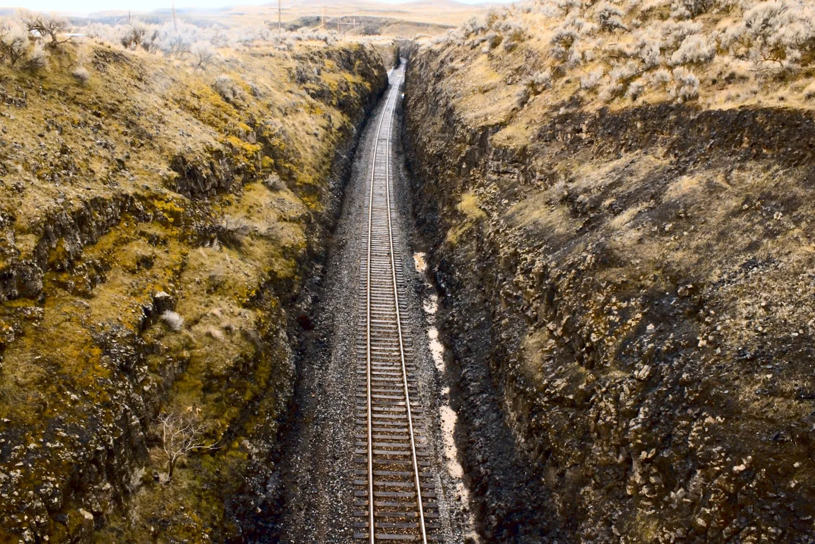 Train Tracks