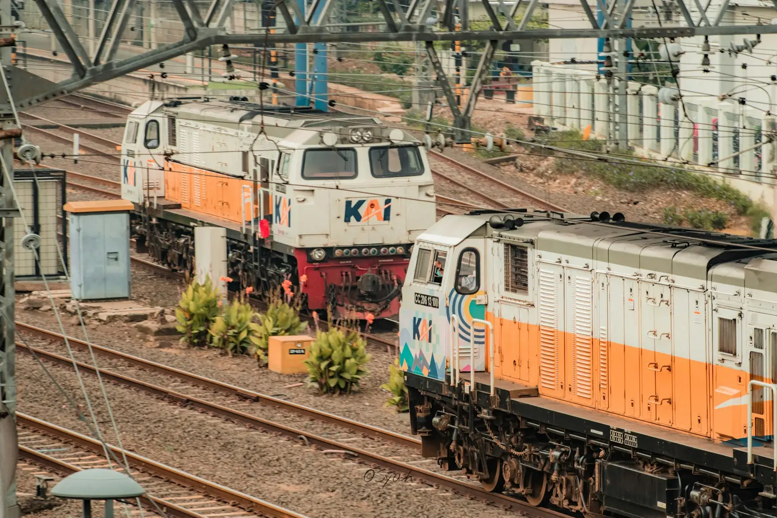 A couple of trains that are sitting on the tracks