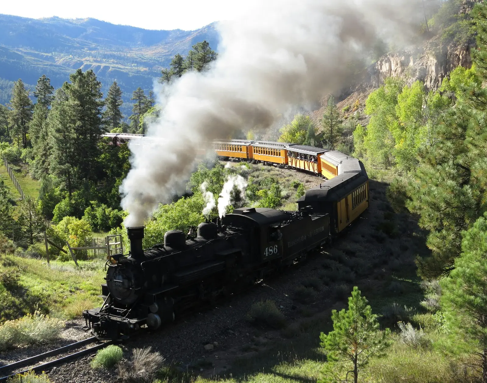 Black train on rail road near green trees during daytime